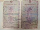 Шатшнайдер Зара Эрнстовна