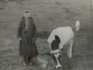 Герасимов Милентий Андрианович