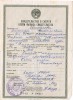 Шишелова Зинаида Витальевна