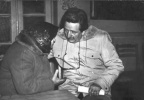 Горынь Михаил Николаевич