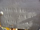 Степичева Наталья Петровна