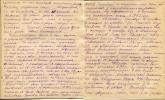Фаге Екатерина Дмитриевна