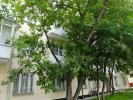 Герценштейн Александр Григорьевич