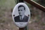 Багров Александр Александрович