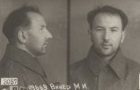 Винер Моисей Исаакович