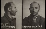 Генриковский Абрам Рафаилович