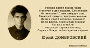 Домбровский Юрий Осипович