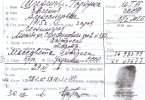 Гаркуша - Ширшова Евгения Александровна