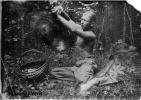 Очер. 05.07.1935 г.