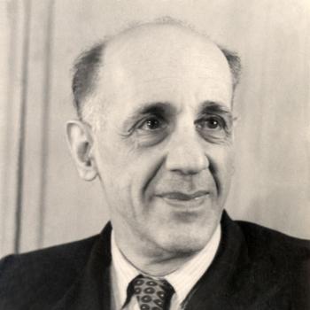 Румер Юрий Борисович