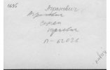 Агранович Семен Юрьевич