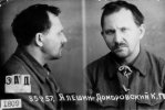 Алешин-Домбровский Карл Петрович