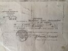 Шелобаева Ольга Николаевна