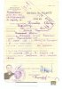 справка об освобождении
