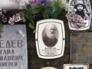 Батистов Алексей Евгеньевич