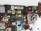 Весницкий Алексей Васильевич