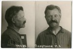Полупанов Михаил Алексеевич (Александрович)