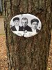 Укко Андрей Александрович с братьями. Левашовское мемориальное кладбище. Памятник-кенотаф