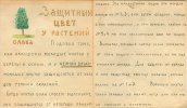 Вангенгейм Алексей Феодосьевич