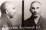 Полонский Владимир Иванович