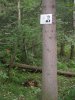 Памятная табличка коми поэту Виктору Савину у кладбища Прикульского лагпункта Томасинлага. с. Итатка Томского р-на Томской области. Установлена в 2006. Виктор Савин умер в заключении в августе 1943 и был похоронен на лагерном кладбище.