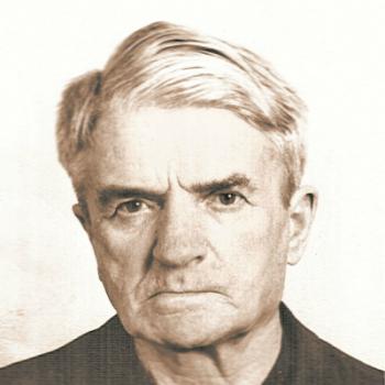 Войнович Николай Павлович