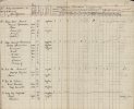 Перепись домохозяйств с имуществом и членами семей на 1919 год.