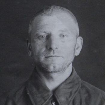Шевелев-Шевель Владимир Павлович