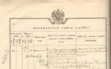 Метрическая запись о рождении