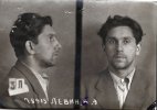 Левин Елизар 