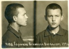 Горшков Всеволод Васильевич