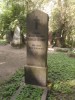 Левинсон-Лессинг Франц Юльевич