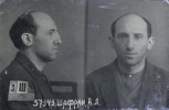 Шафран Александр Леонтьевич