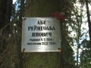 Абе Рейнгольд Янович