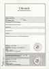 Смена фамилии с Меховникова на Шмидт
