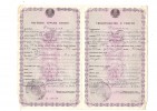 Роппель Александр Иосифович