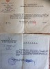 Голомшток Абрам Соломонович