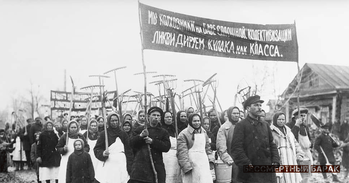Протесты против коллективизации в СССР