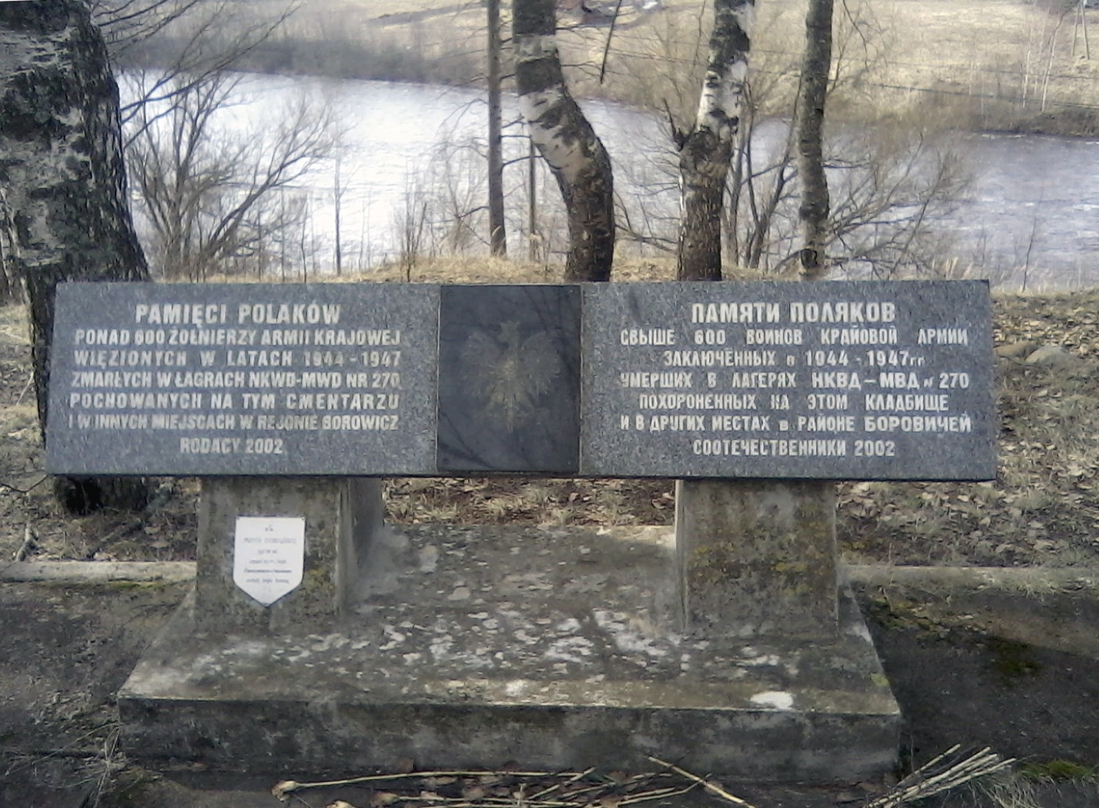 Узники Боровичей