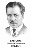 ВАВИЛОВ Николай Иванович