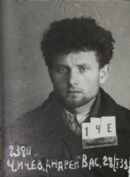 Чичев Андрей Васильевич