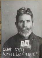 Чичев Василий Степанович