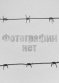Гудков Петр Андреевич