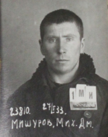 Мишуров Михаил Дмитриевич