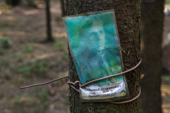 Земко Иван Демьянович