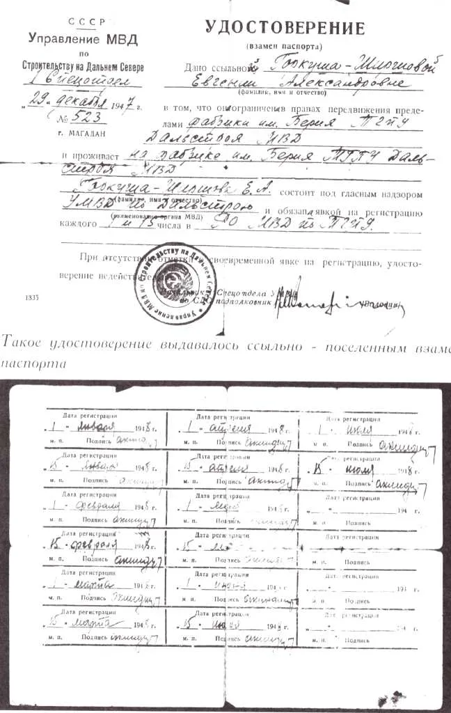  Гаркуша-Ширшова Евгения Александровна