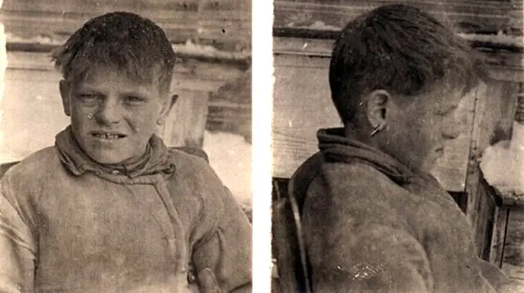 «For the harm to the Soviet Collective Farm System.»  The case of the sunken wheel