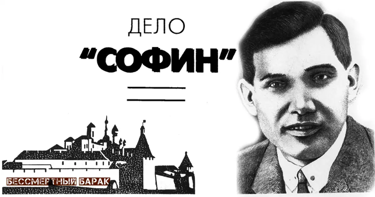 Дело «СОФИН»