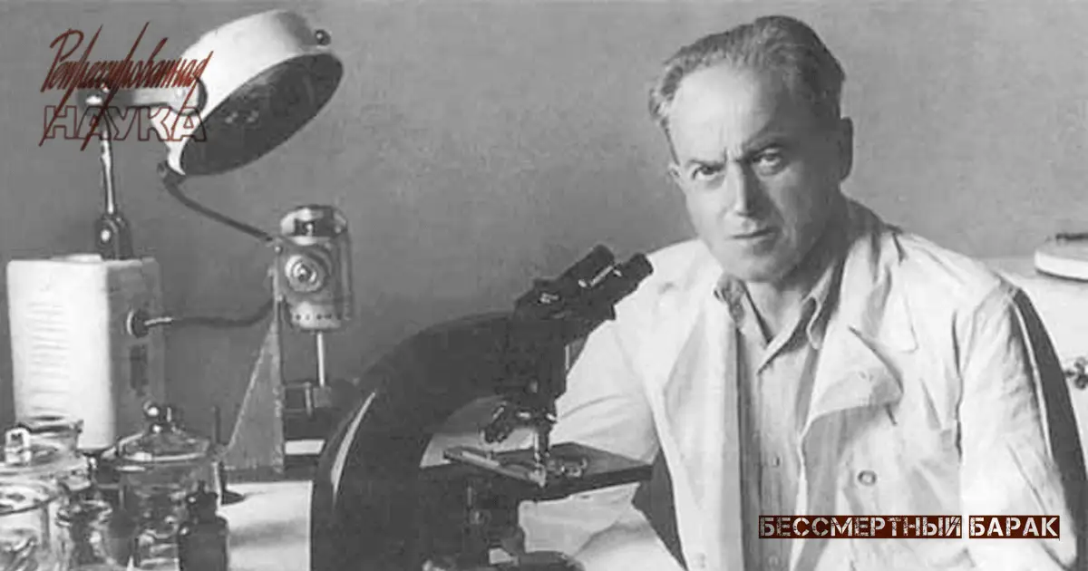 Мой брат — Лев Зильбер