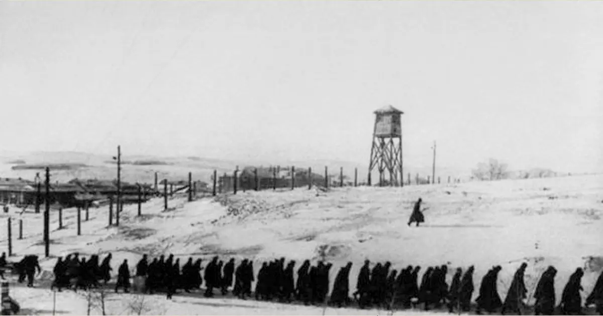 Плен в своем отечестве